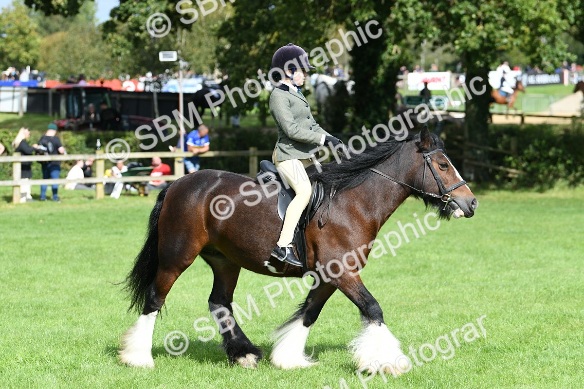 SBM_46909 - S12 - Family Horse & Pony
