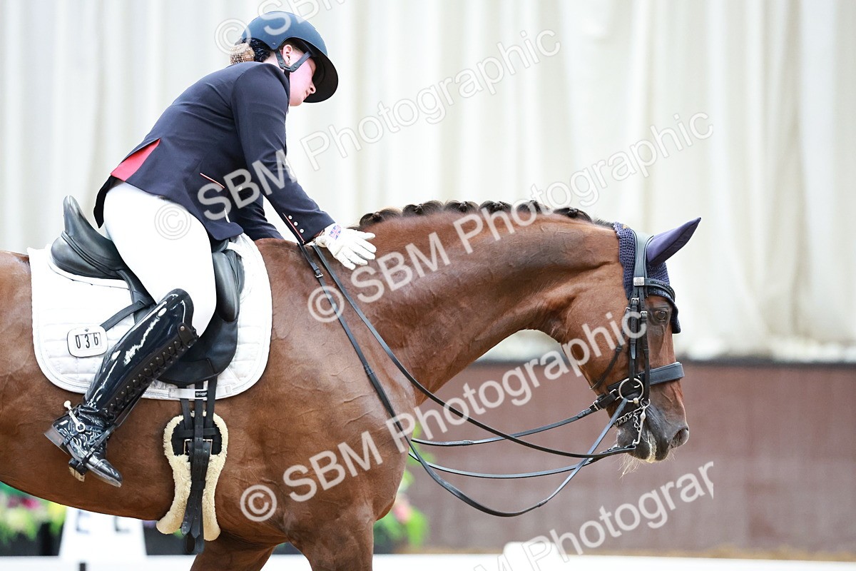 SBM_017949 - Class 15 - FEI Junior