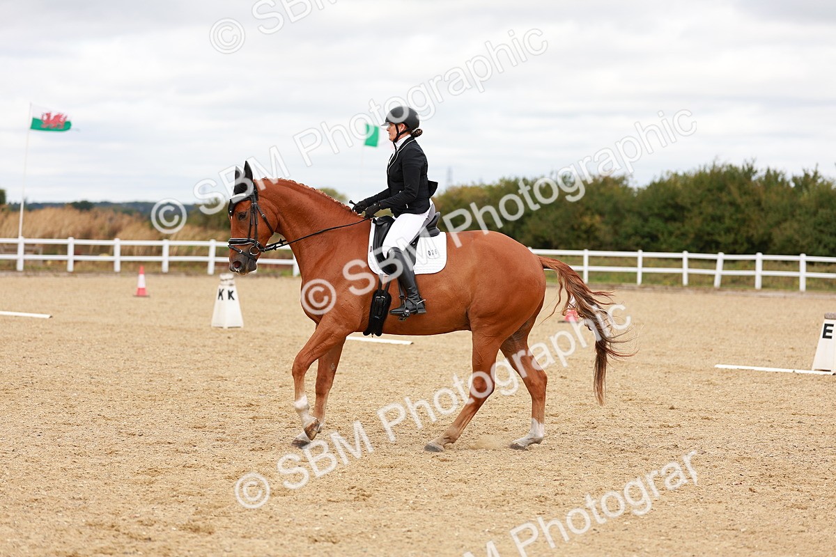SBM_001909 - Class 5-6 - Novice 3-Elem 3