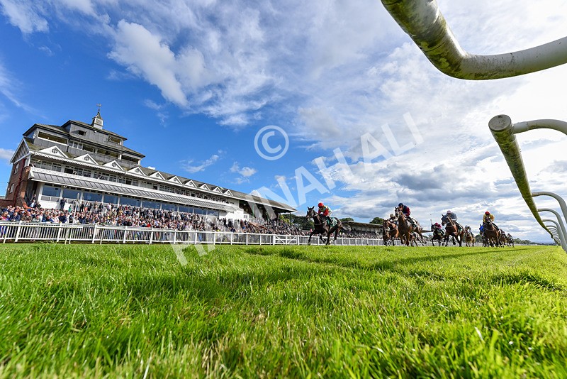 160624-Race 6-Letsbefrank-2 - Race 6