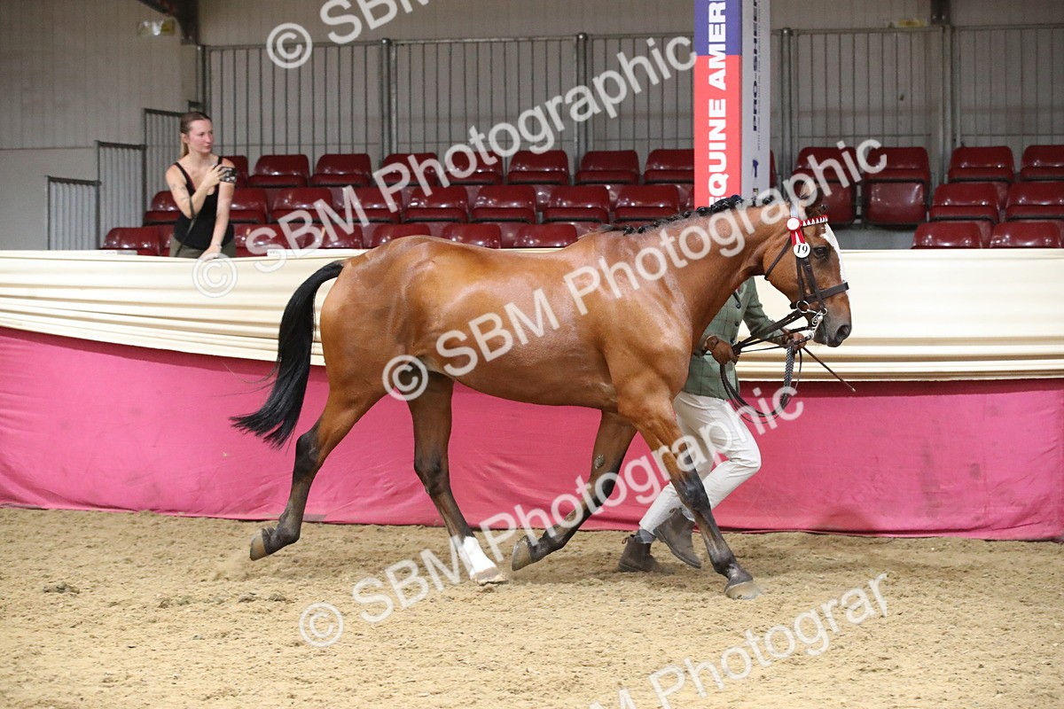SBM_05846 - Class 9R - Regional IH Pre-Vet