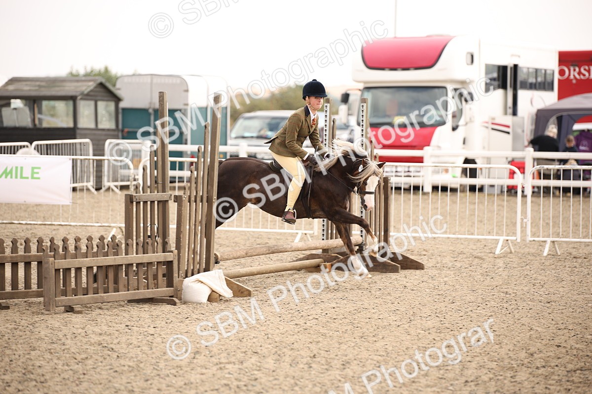 SBM_12572 - Class 405b - M&M Working Veteran 50cm 20+