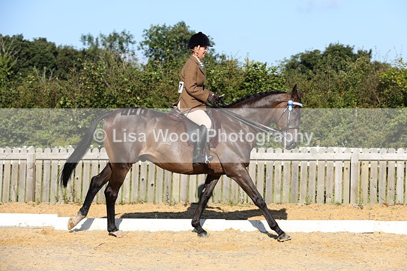 1X9A7556 - Class 7: Novice Ridden Hunter/Hack/Cob/Riding Horse