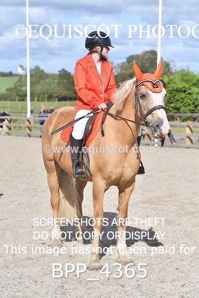 BPP_4365 - CLASS 6 HORSE 60CM FINAL