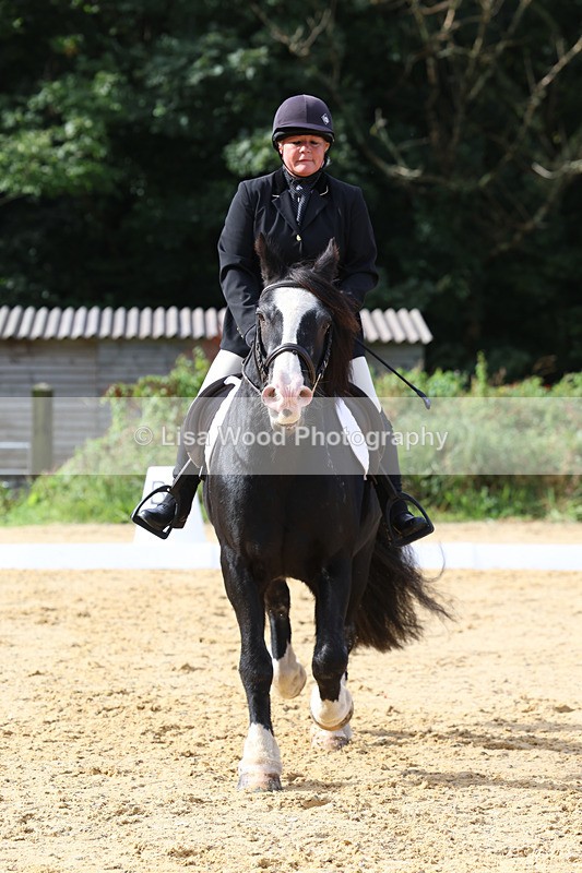 3E7A2317 - Class 1: Intro 4 2024 section A