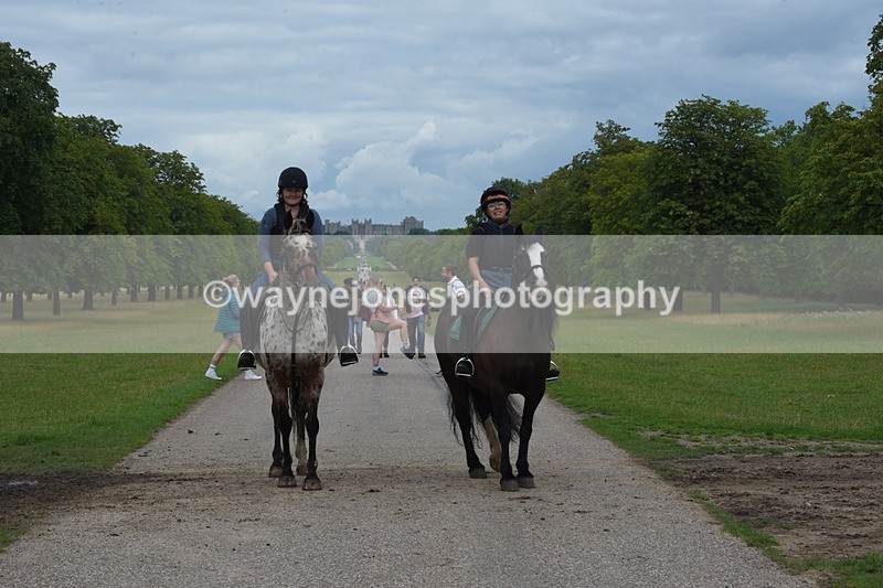 TT3_9647 - Time at Crossing 11:28 to 13:16