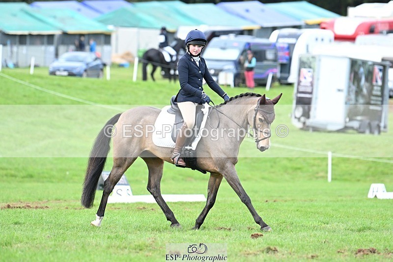 231020-161305-11628 - 558-BATHLEYHILLS.GOLDEN.SPRAY-Cleo.Whitbread-DR