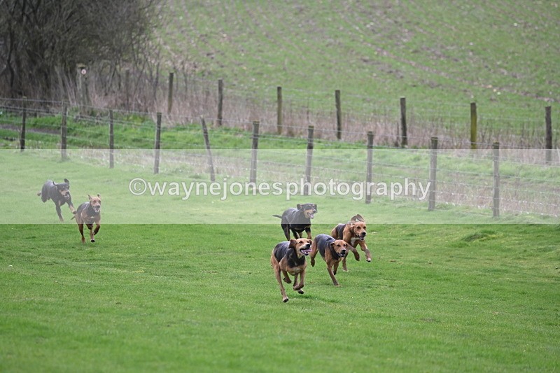 WJ6_8969 - Line Three