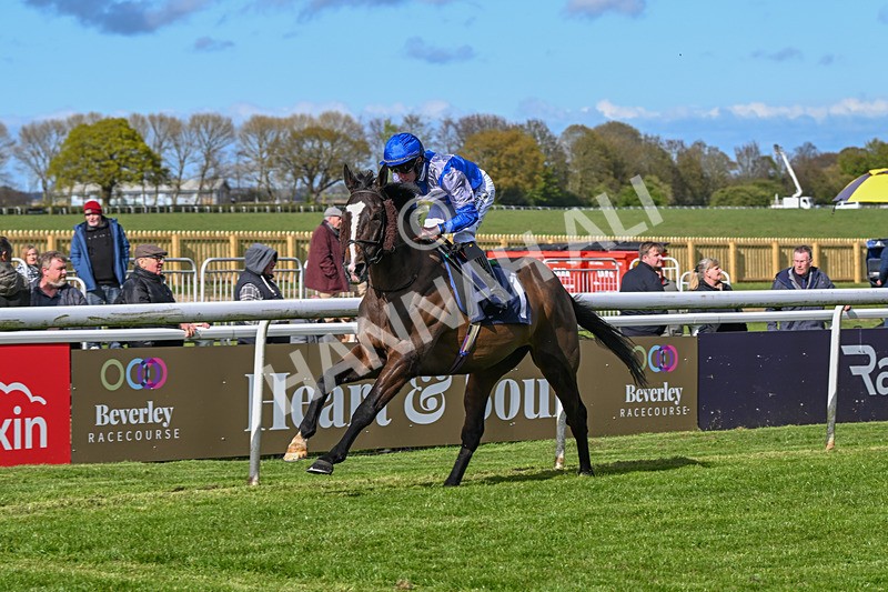 250424-Race 5-Arthurs Realm-1562 - Race 5