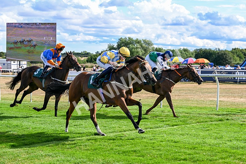 040826-Race 6-Without Flaw-5661 - Race 6 16.45pm Racing Again 17th August Handicap