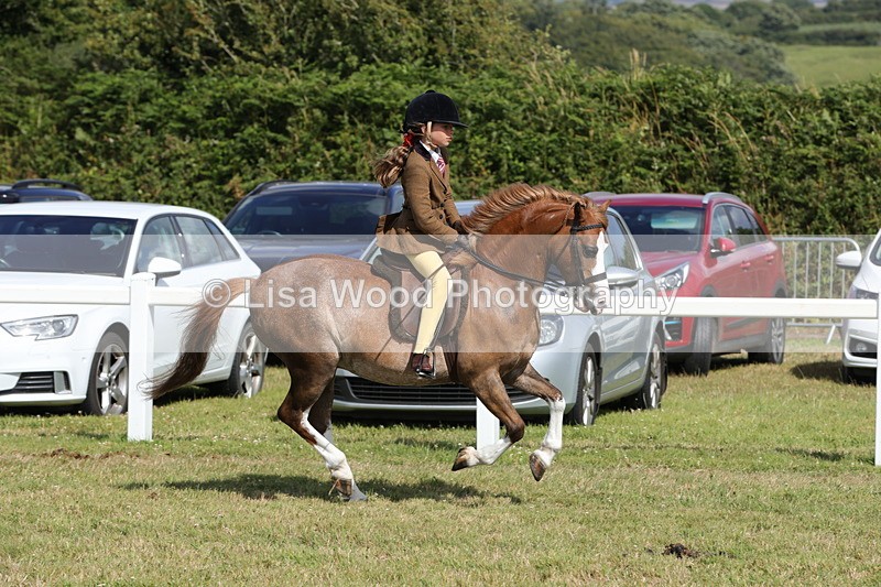 1X9A5674 - Class 40: NPS Welsh A & B