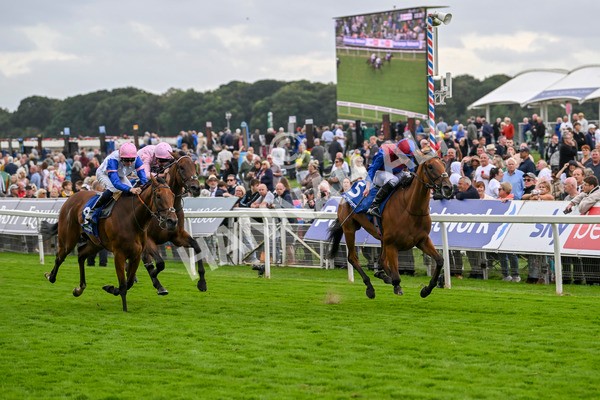 220824-Race 4-Content-7394 - Race 4 3.35pm Pertemps Network Yorkshire Oaks
