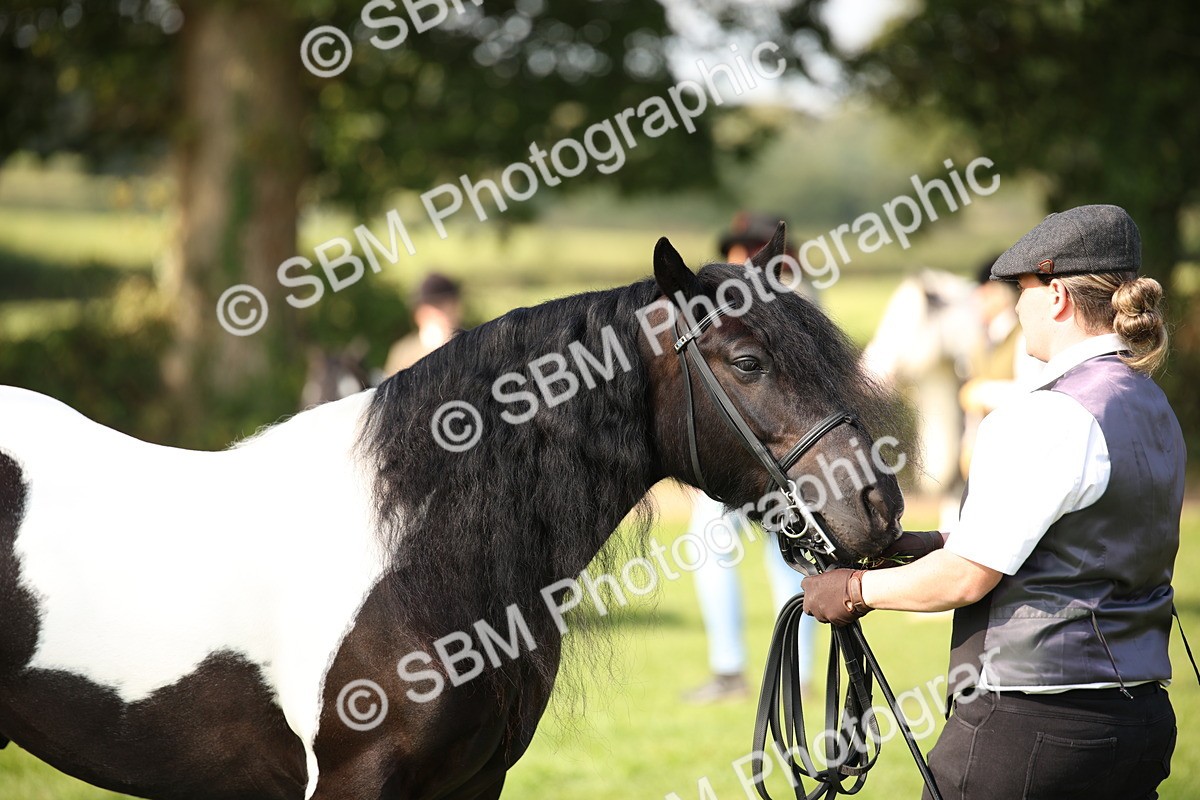 SBM_62268 - S55 - Traditional Cob In Hand