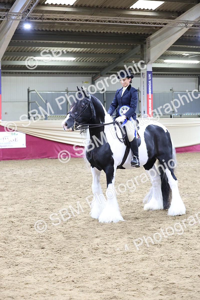 SBM_20193 - Class C - Novalty Champ