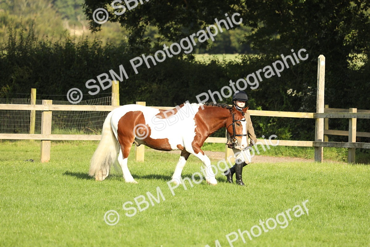 SBM_60797 - S43 - Coloured Pony In Hand