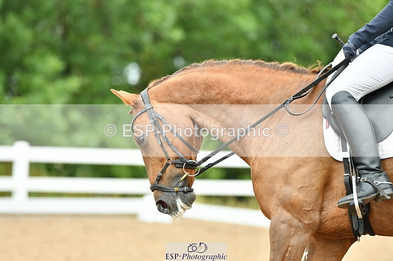 230701A-103434-04794 - Cls 4 Novice 23