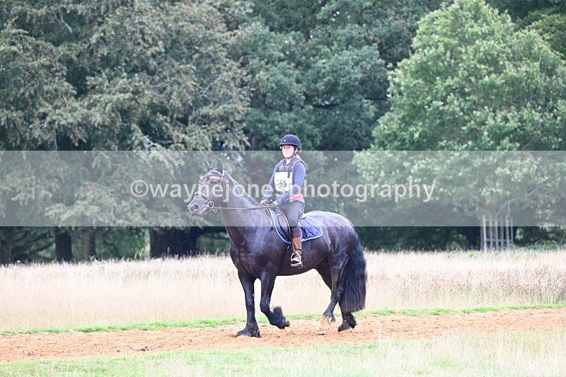 DSC_9584 - Time at Statue 15:11 to 15:58