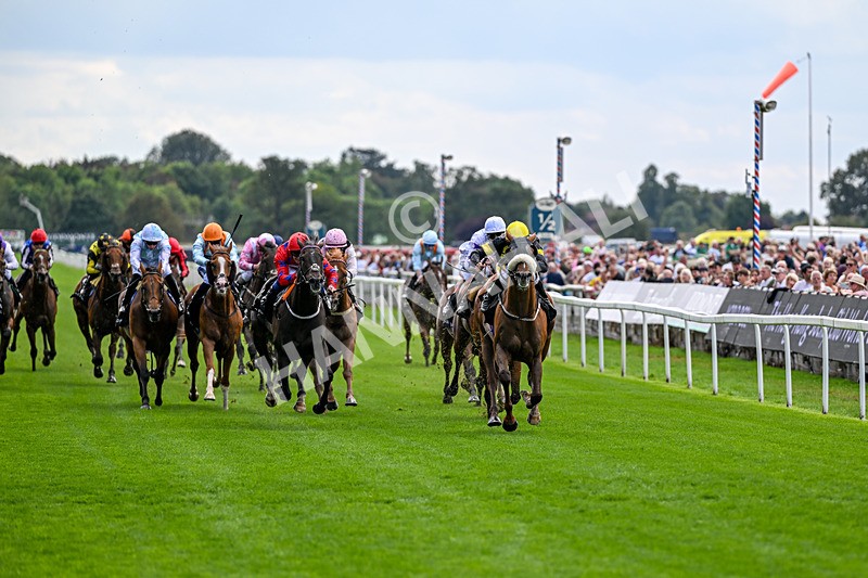 190826-Race 1-Air Force One-0668 - Race 1 13.50pm Hong Kong Jockey Club World Pool Handicap
