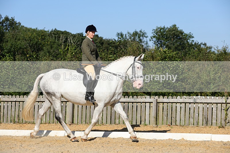 1X9A7715 - Class 9: Open Ridden Hunter