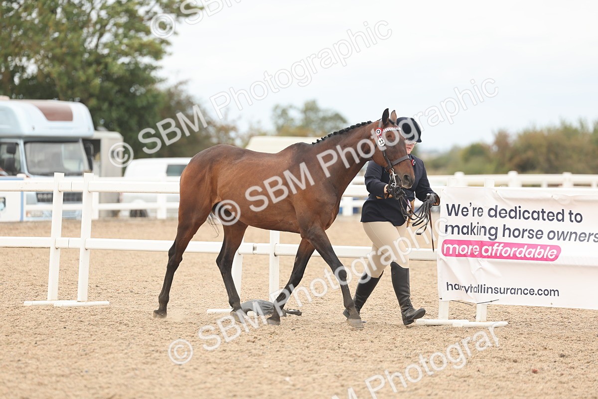 SBM_17060 - Class 313 - IH Retired Racehorse