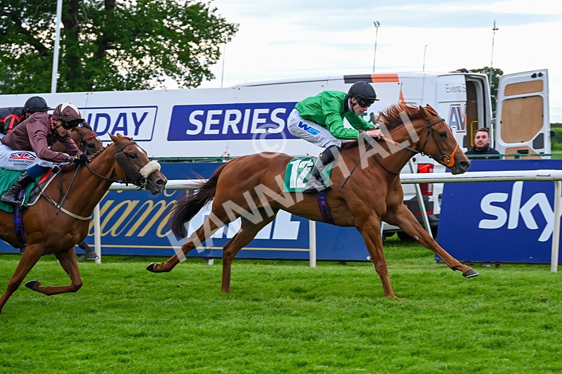 310526-Race 7-Annastarzy-9436 - Race 7 18.45pm Sky Bet Build A Bet Fillies' Handicap