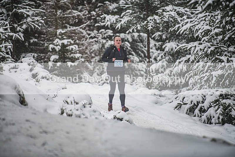 Glentress-918 - High Terrain Events Glentress 42, 21 & 10K Trail Races Sunday 15th February 2026