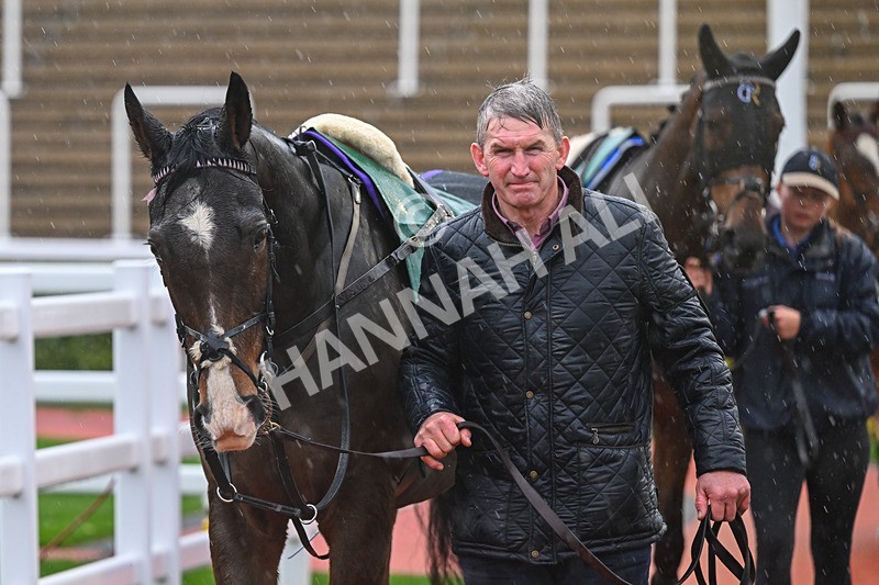 141125-Race 1-Priory Park-8568 - Race 1