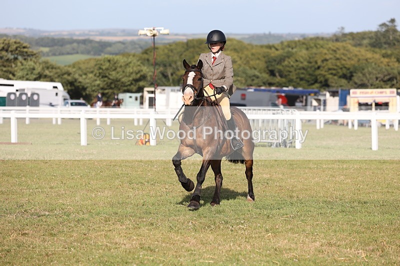 JPP_3216 - Class 21: Working Hunter 80cm