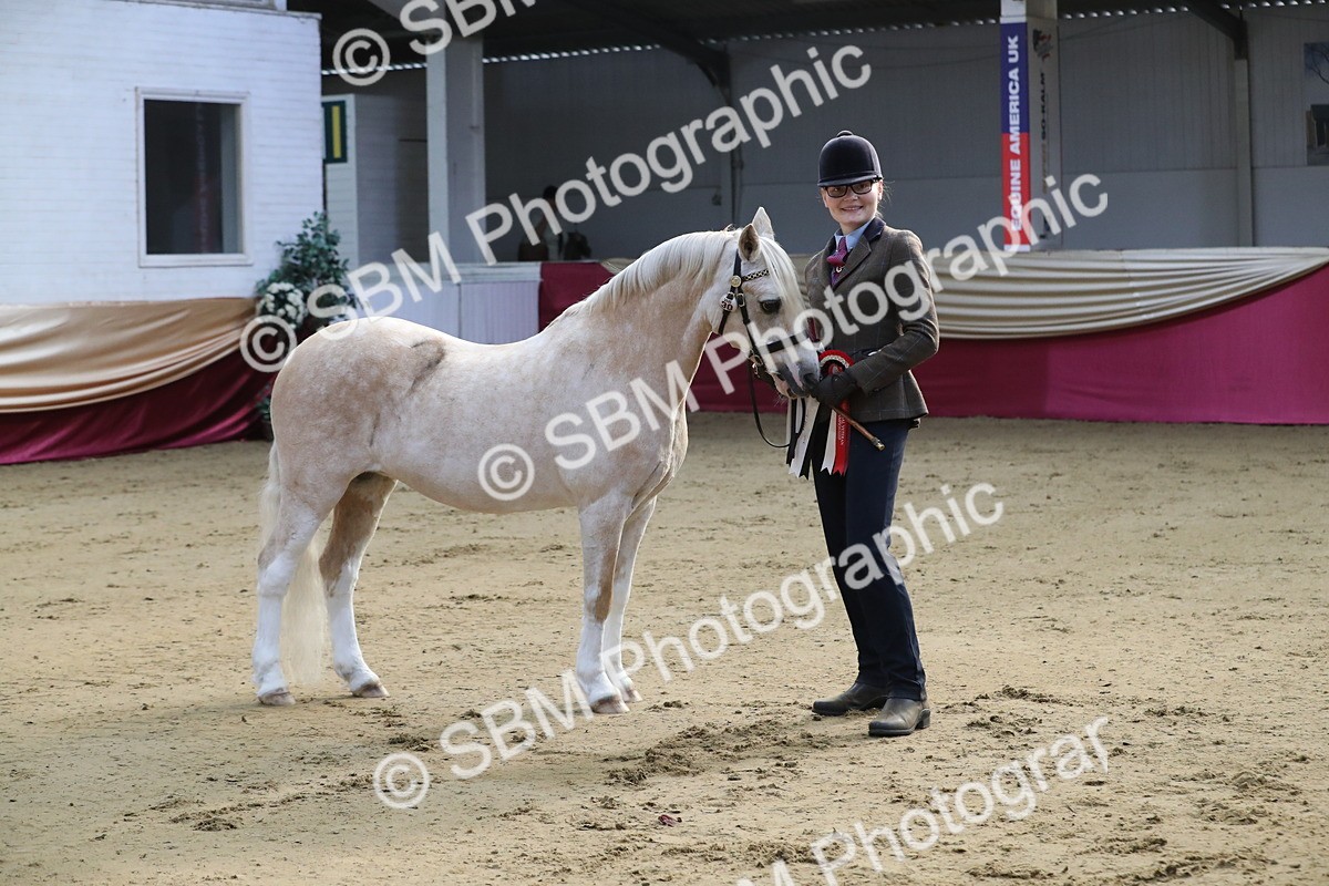 SBM_00313 - Class 1a - Area IH Diamond