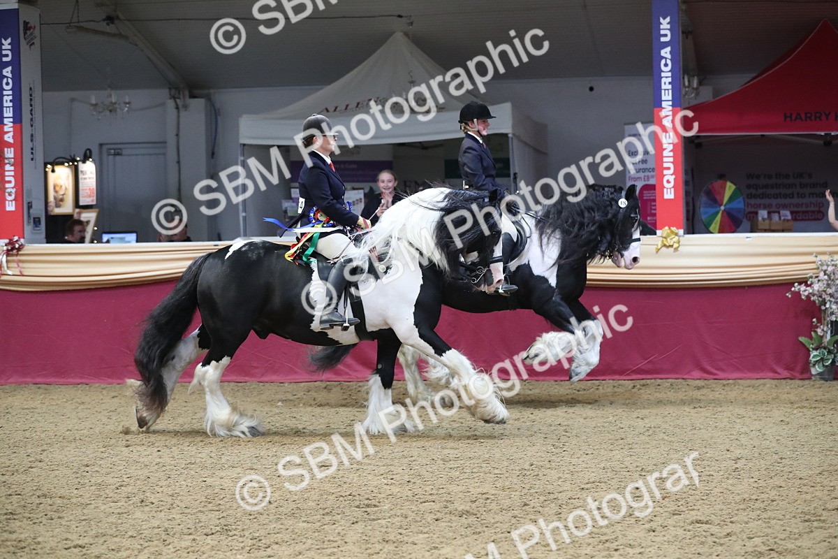 SBM_13802 - Class 109 Ridden Pairs - Section B