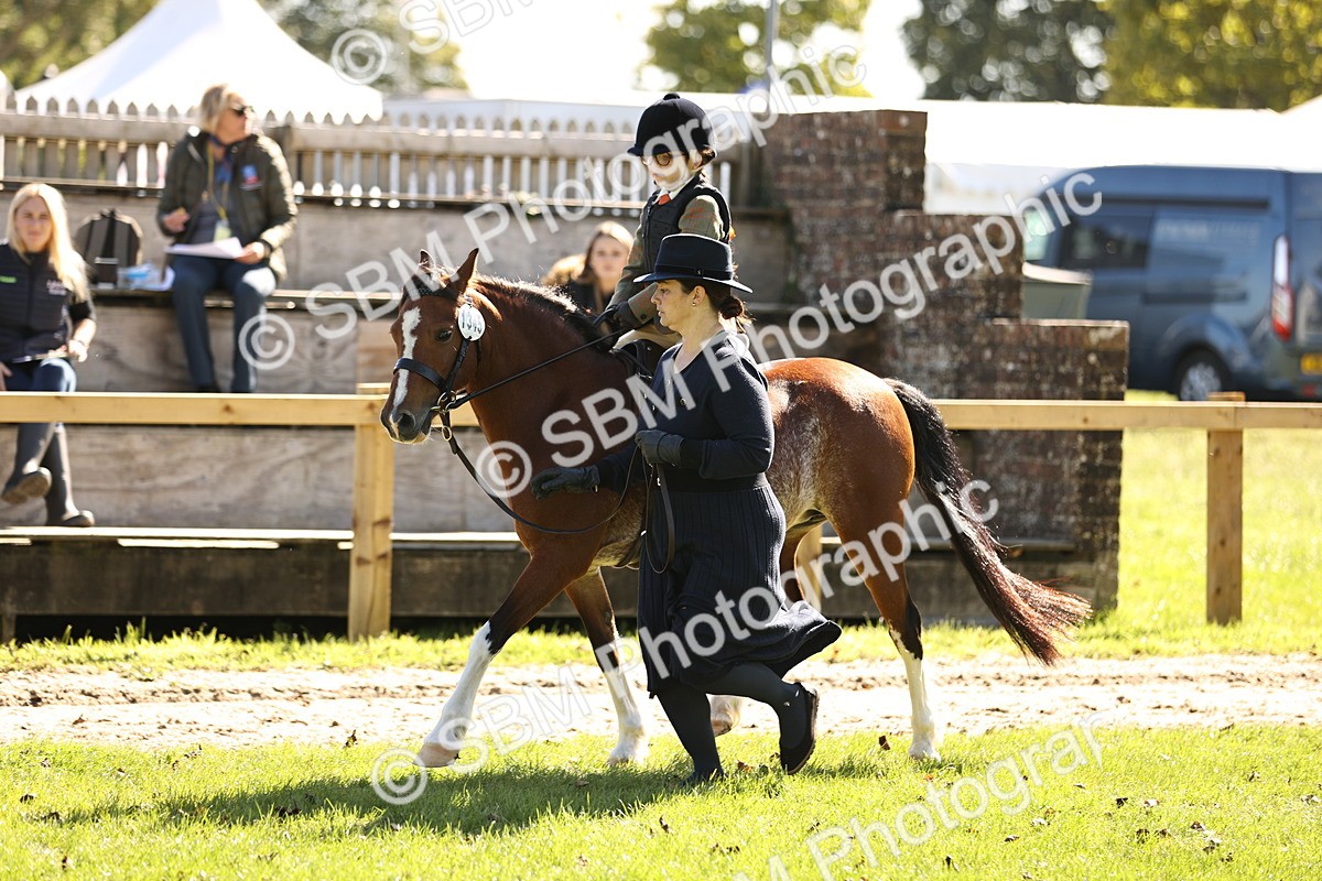 SBM_19279 - S3 - TSR Ridden Pony Showing