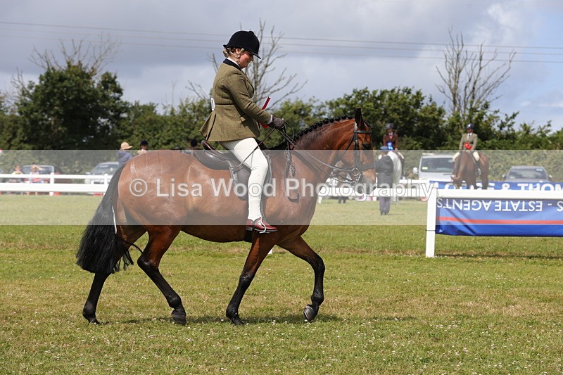 1X9A4121 - Class 32: Show Hunter Pony 153cm and under