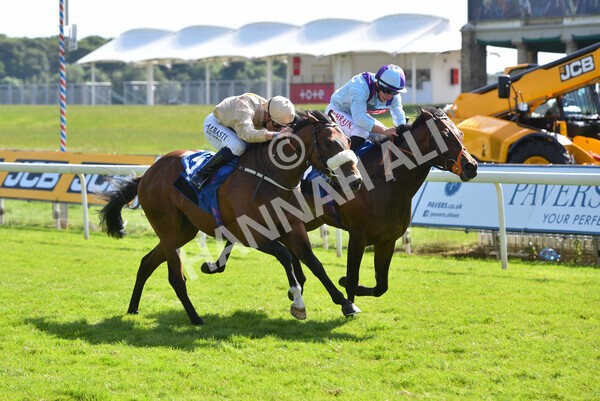 yr12062021r5-21 - Race 5 4.15pm Reg Griffin Appreciation EBFstallions.com Maiden Stakes