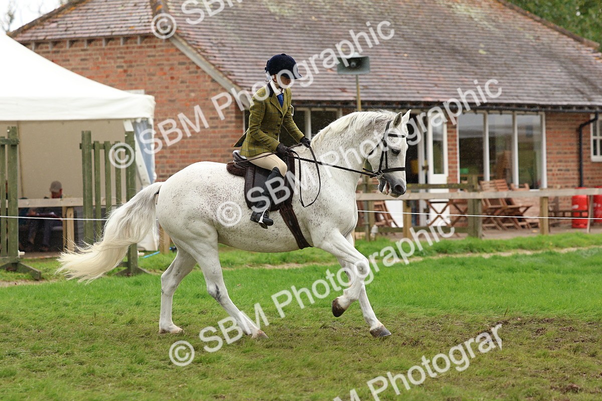 SBM_69600 - S62 - Mountain & Moorland Ridden Large Breeds