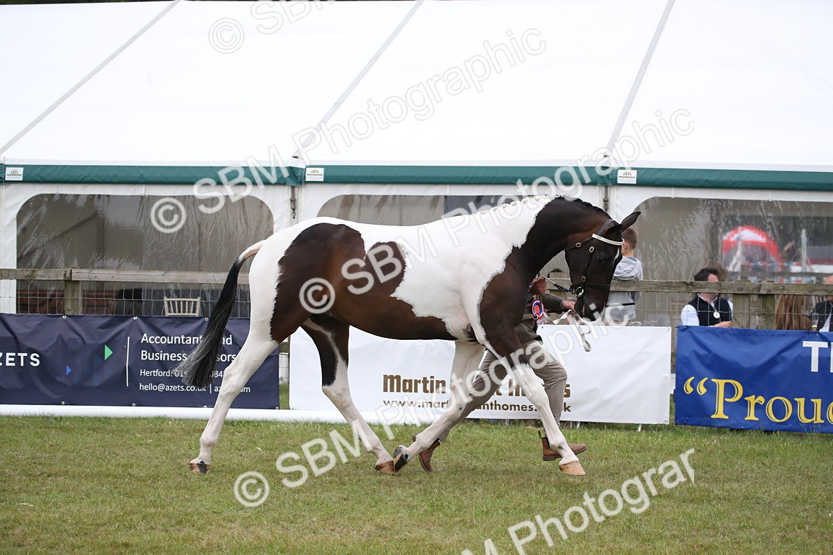 SBM_09809 - Ch 50 - Price Family Supreme In Hand