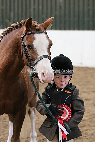 SIAL0595 - Small Arena - Saturday