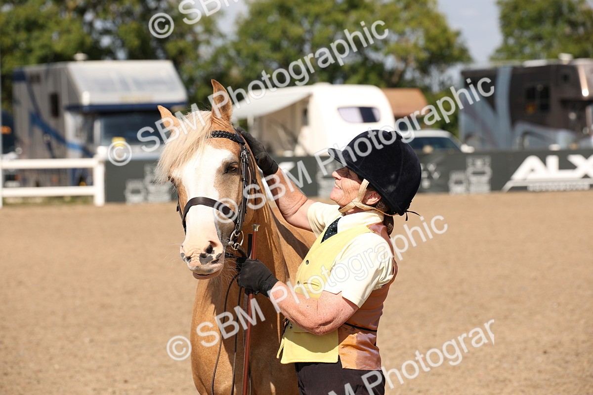 SBM_02817 - Class 16 IH M&M Wildcard