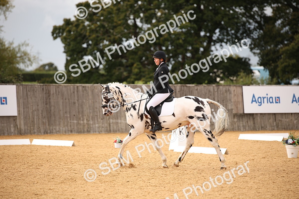 SBM_12296 - D3 Small  Tour Championship Intro A