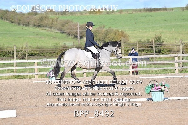 BPP_8492 - SHORT ARENA