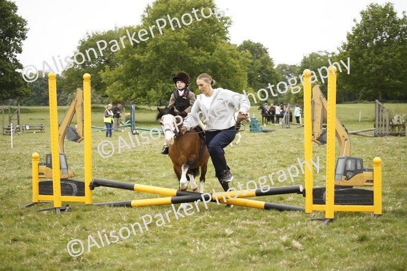 20250517-0132 - Class 1 - 30cm On Lead Rein