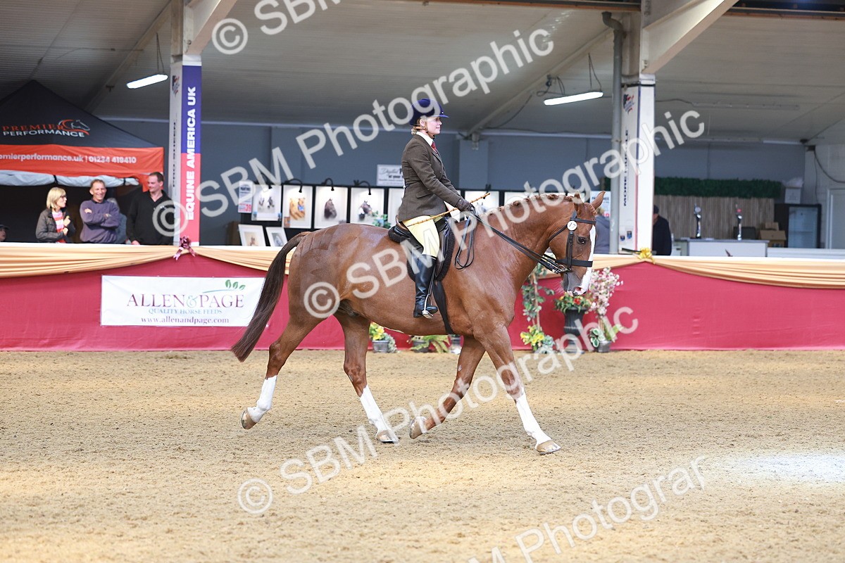 SBM_12576 - Class 103 - HOYS Veteran Qualifier - Ridden Pre Vet