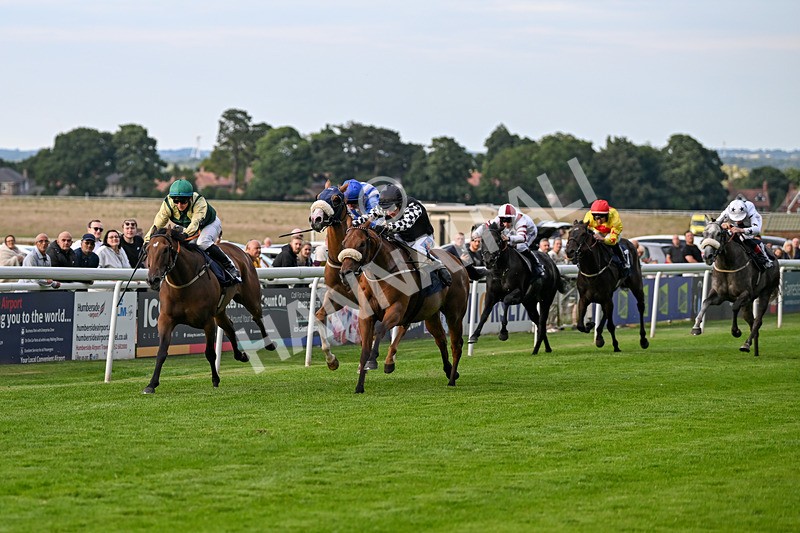 220724-Race 5-King Sharja-1973 - Race 5