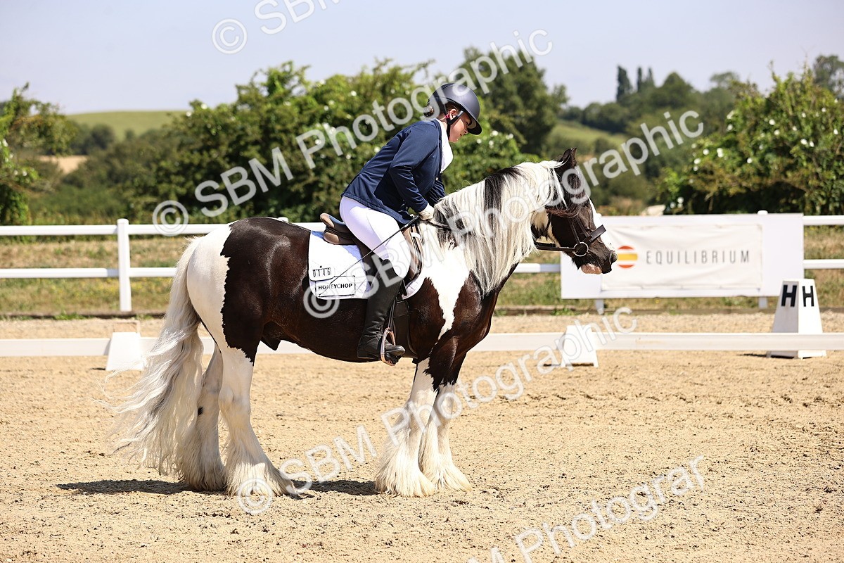 SBM_003759 - Intro 2