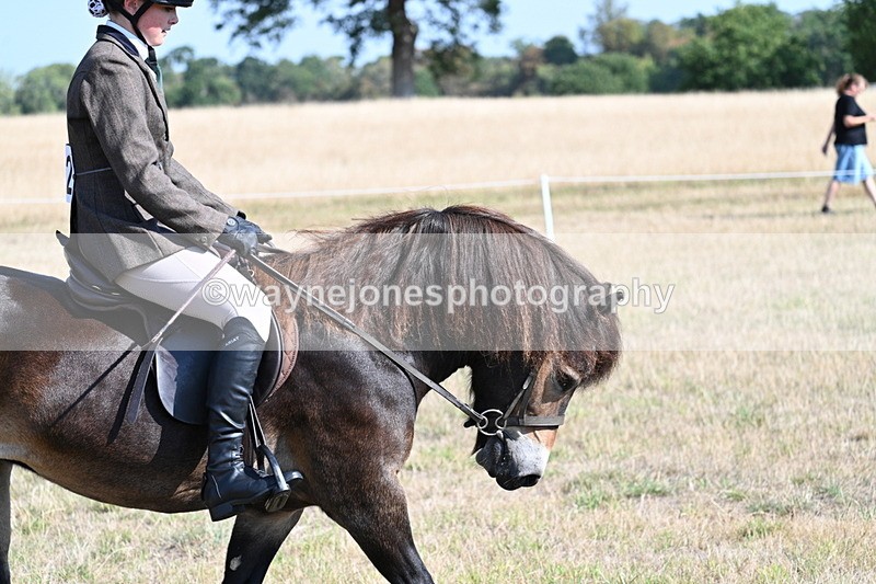 WJ7_2943 - Class 8 Ridden Tack & Turnout
