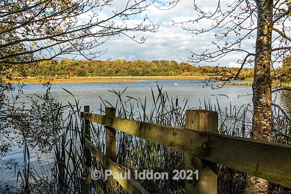 Brockholes 03 - Landscapes