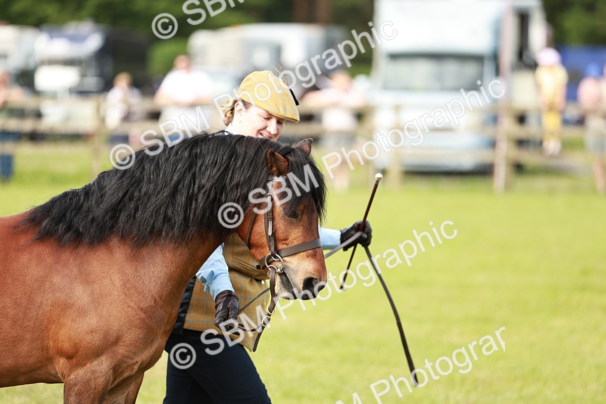 SBM_00532