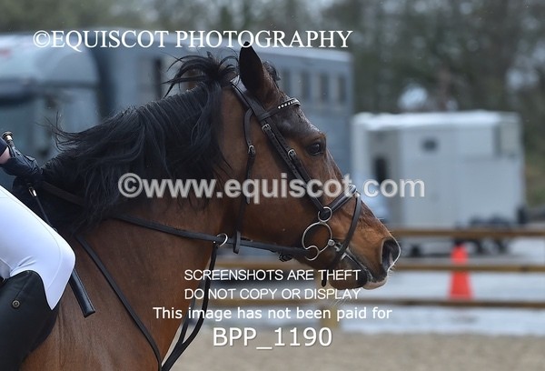 BPP_1190 - CLASS 3 Club/ Unaffiliated 70cms Open