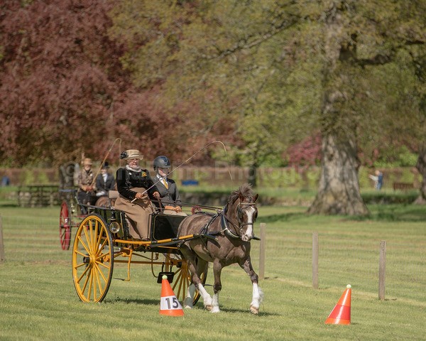 Attelage -742 - CIAT Glamis 2026