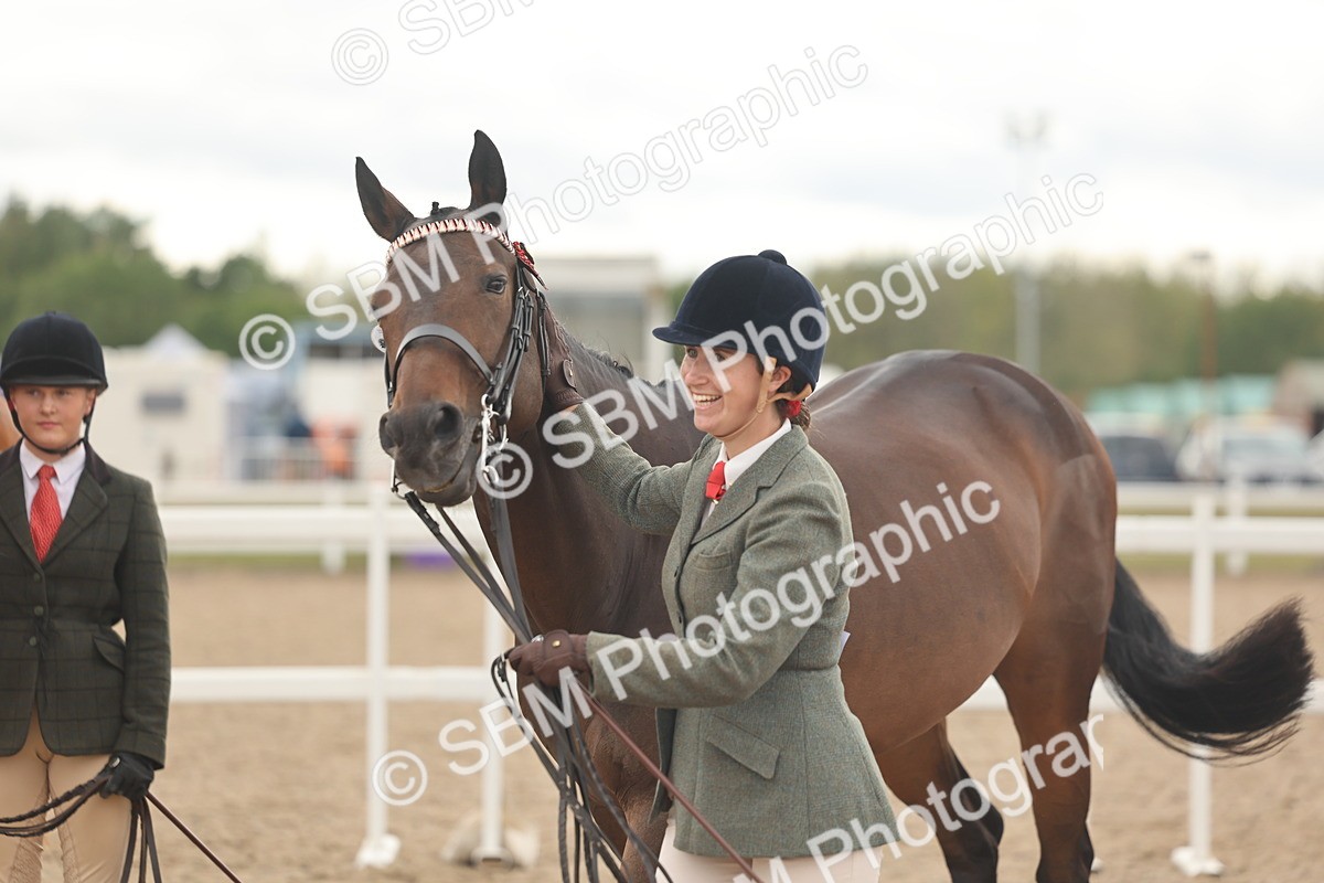 SBM_17131 - Class 313 - IH Retired Racehorse