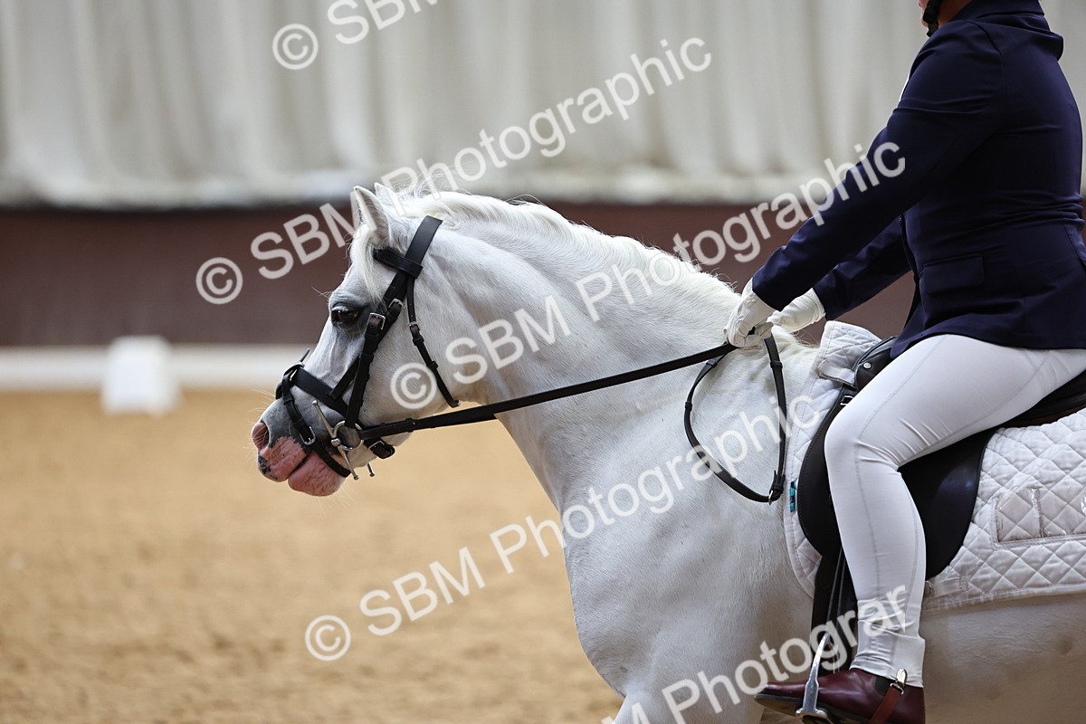 SBM_003448 - Intro 2